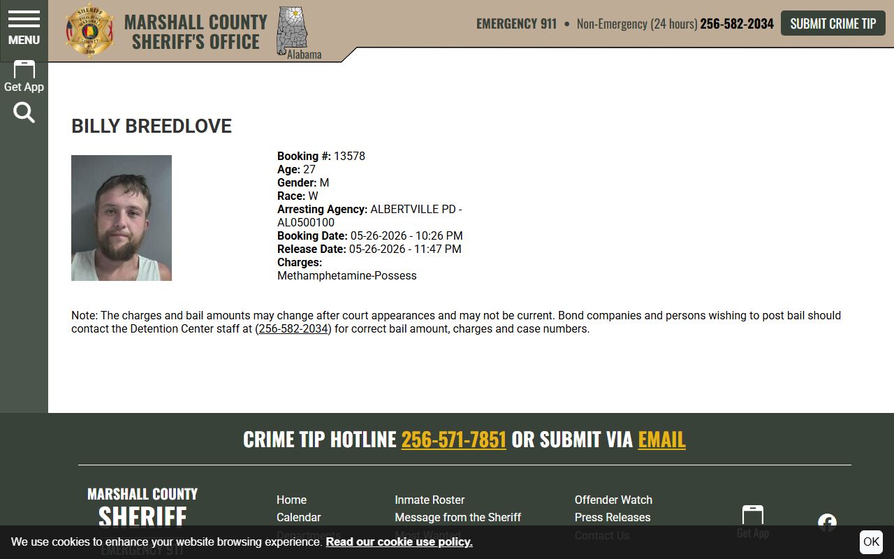 Marshall County inmate records sample profile with booking photo and fields